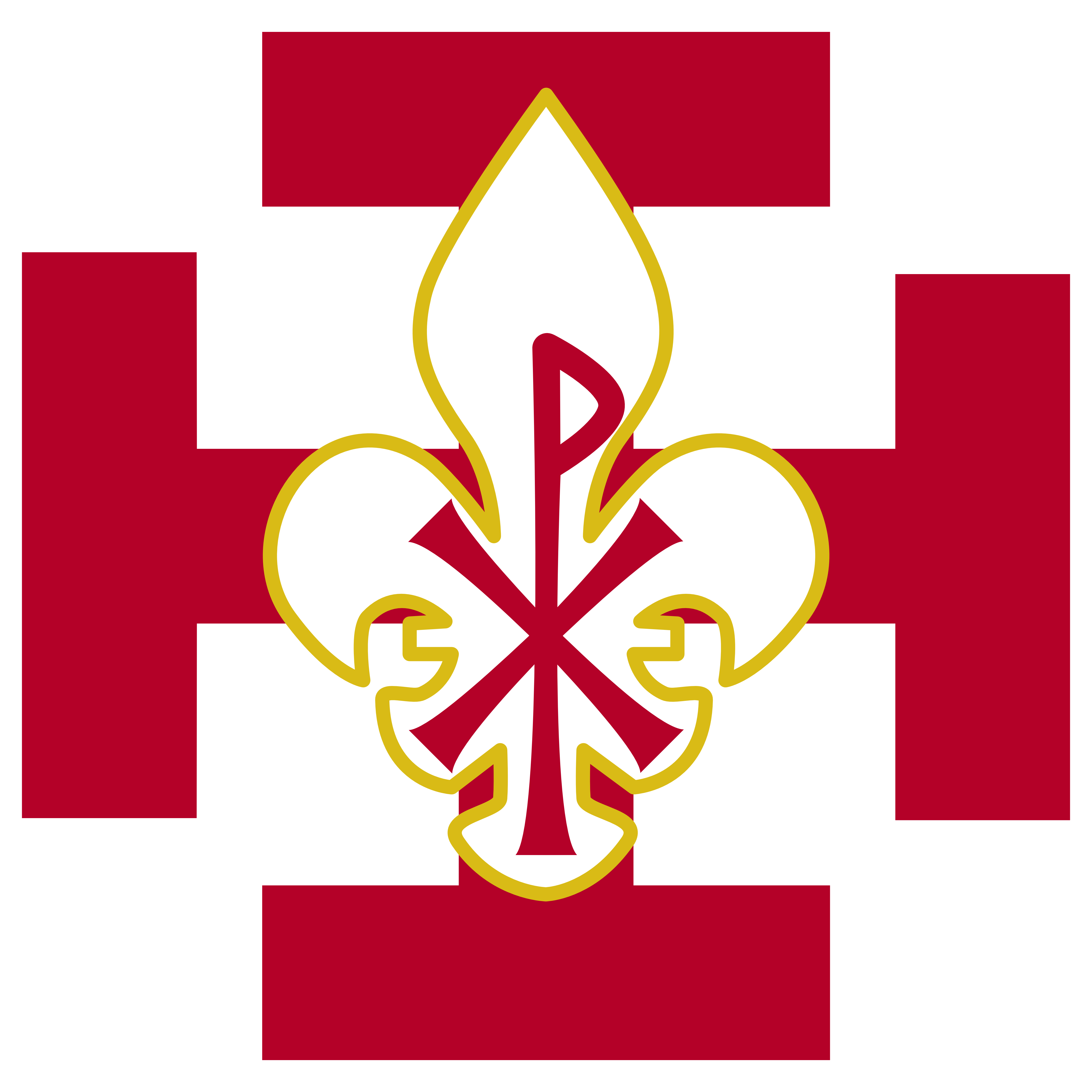 Scouts de Doran logo